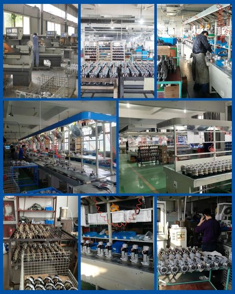 Guangzhou Dongling electromechanical Equipment Co., LTD linia produkcyjna producenta